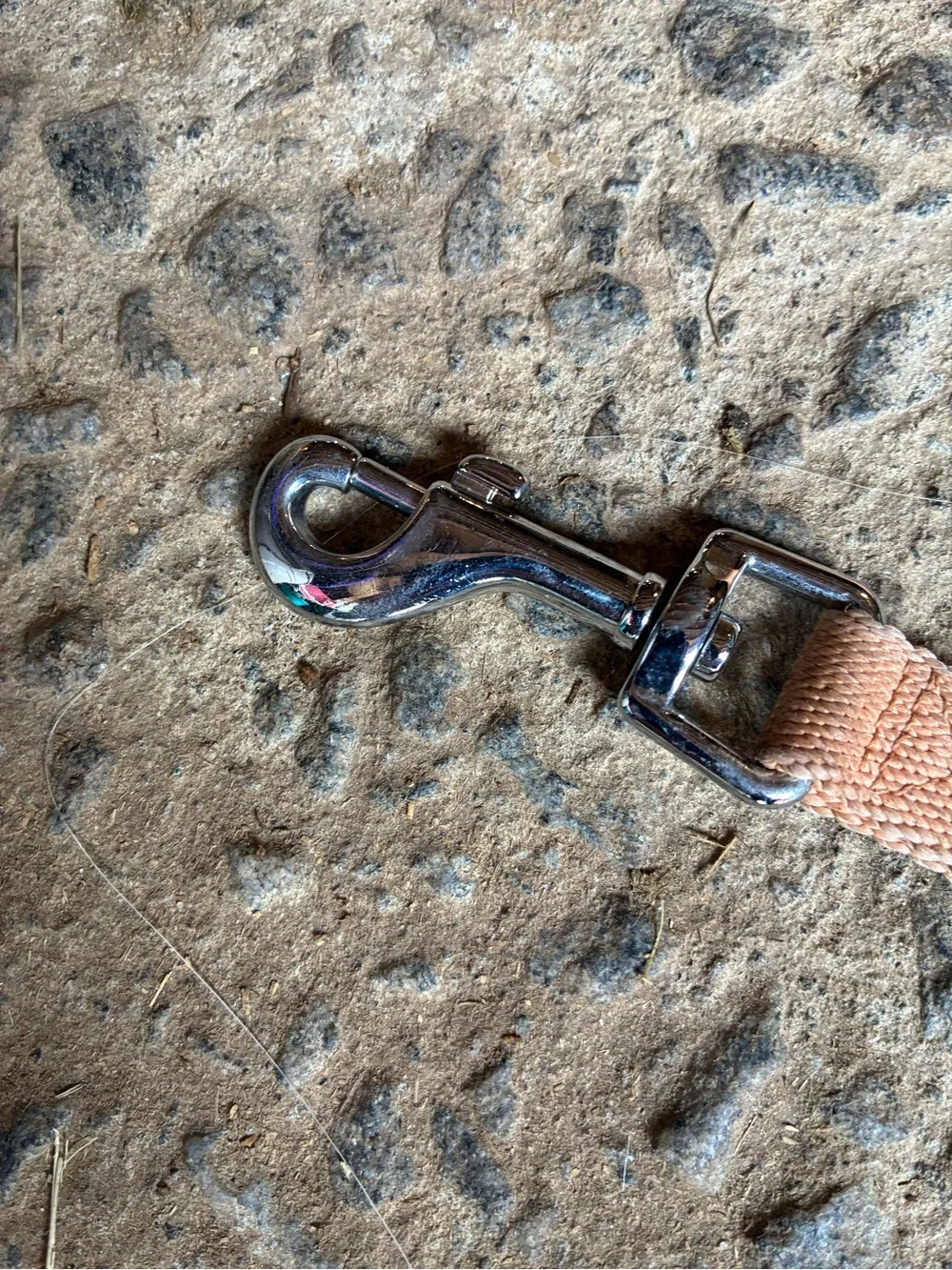 Peach Dog Leash with Metal Clip - DOGS & CATS & CO.
